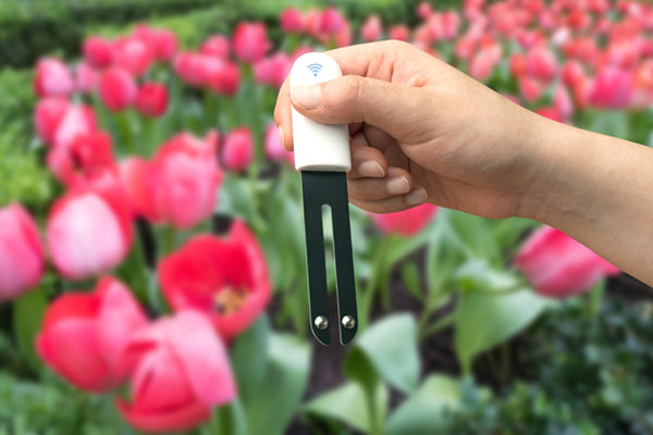 Concept sensor used in flower farm to monitor moisture, pH, nitrogen, phosphorus, potassium, and sunlight in soil.