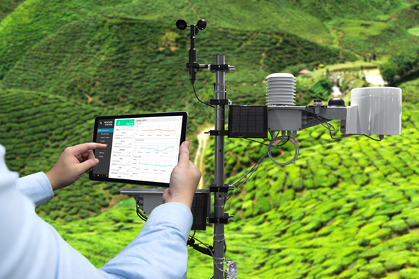 Weather station in verdant pastoral setting