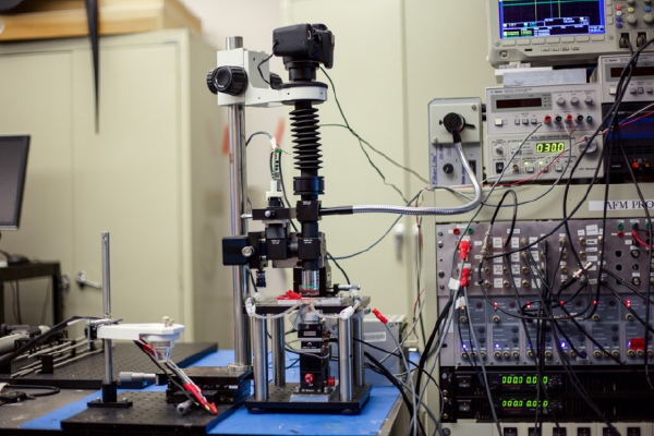 atomic force microscope that scans images 2,000 times faster than existing commercial models, images of chemical processes taking place at the nanoscale, at a rate that is close to real-time video (Kamal Youcef-Toumi)