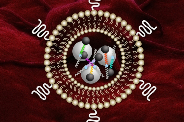 injected into the tumor site, the nanosensors activated by magnetic field harmless to healthy tissue, interact with and modified by the tumor proteins, secreted in the urine, detected (Sangeeta Bhatia)